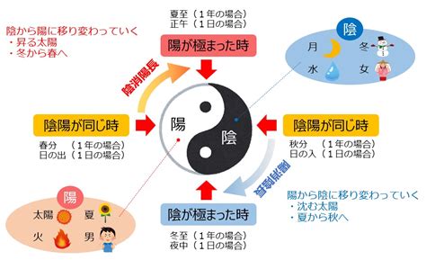 陰と陽 人間|陰陽五行説｜基礎知識から法則、具体例についてわか 